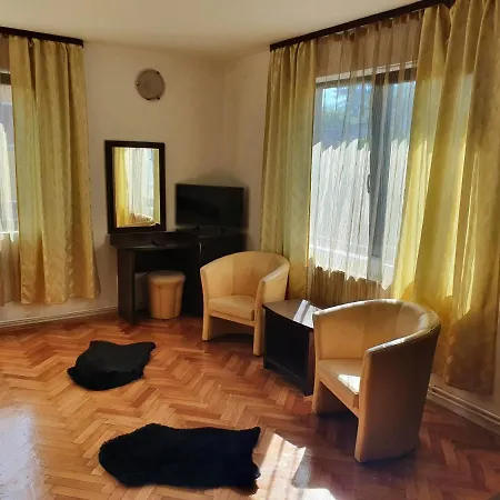 Casa Blaga Guest house *