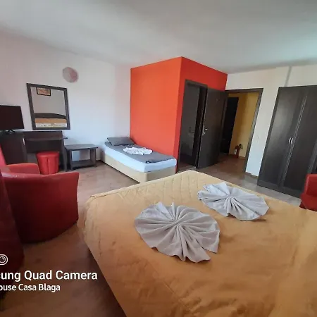 Guest house Casa Blaga *