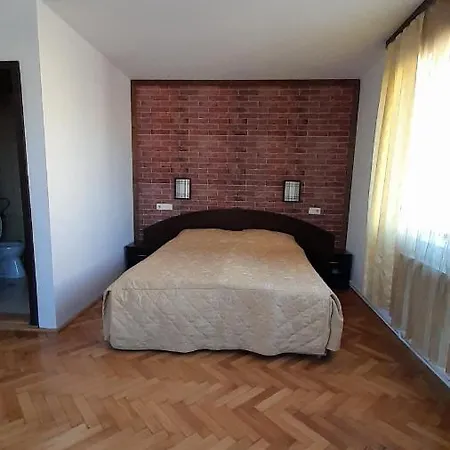 Guest house Casa Blaga
