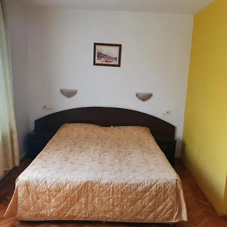 Casa Blaga Guest house *