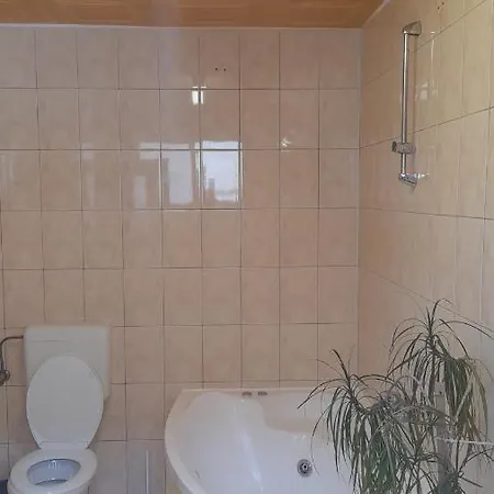 Guest house Casa Blaga *