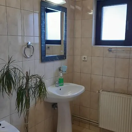 Casa Blaga Guest house *